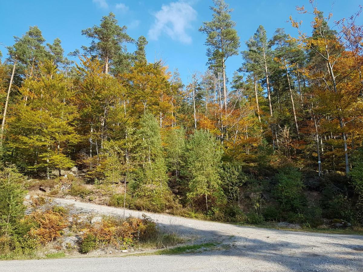 Stuermlesloch Bad Wildbad Exterior foto